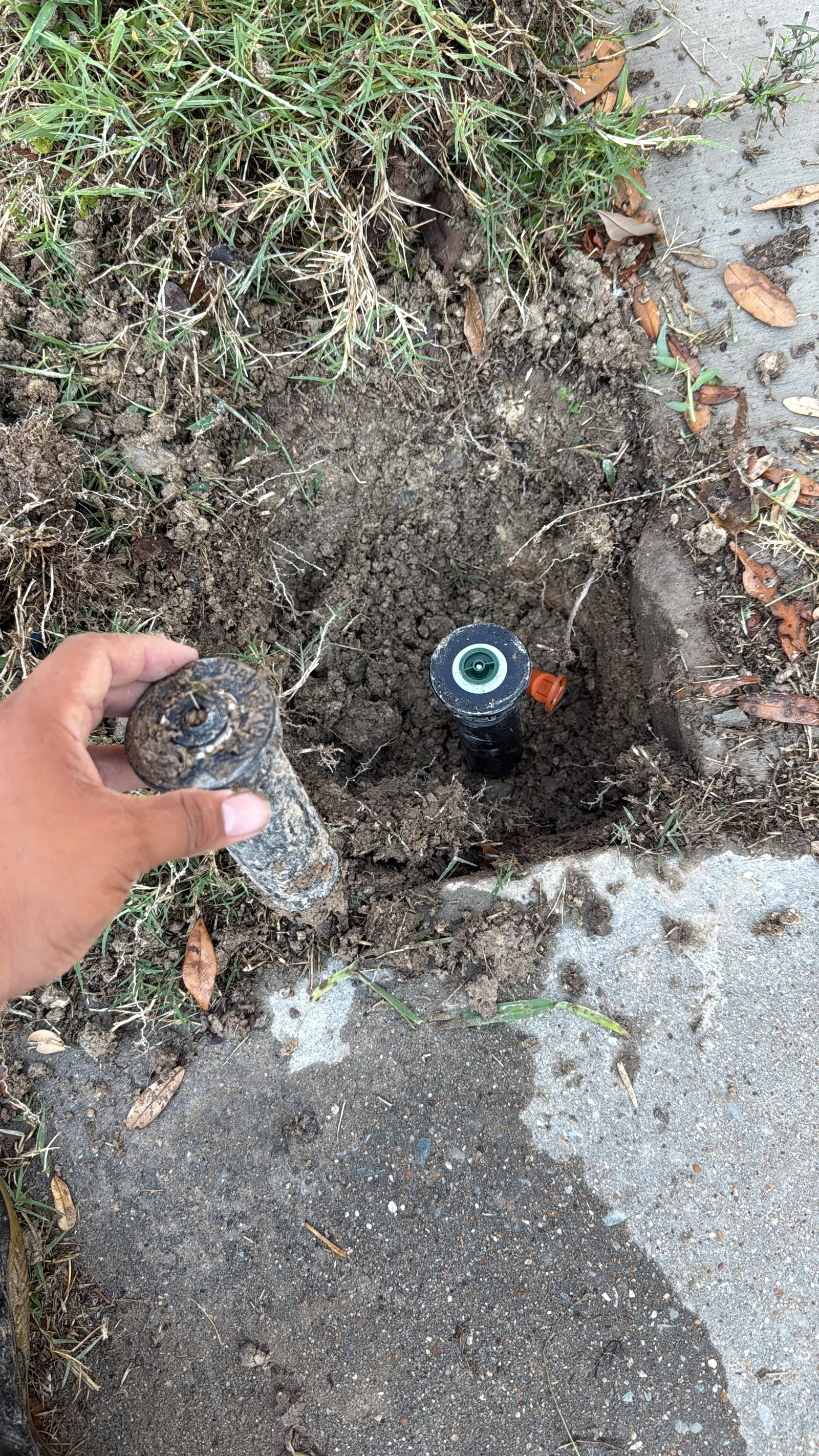 Sprinkler head replacement by JC Apex Home Services in Plano TX