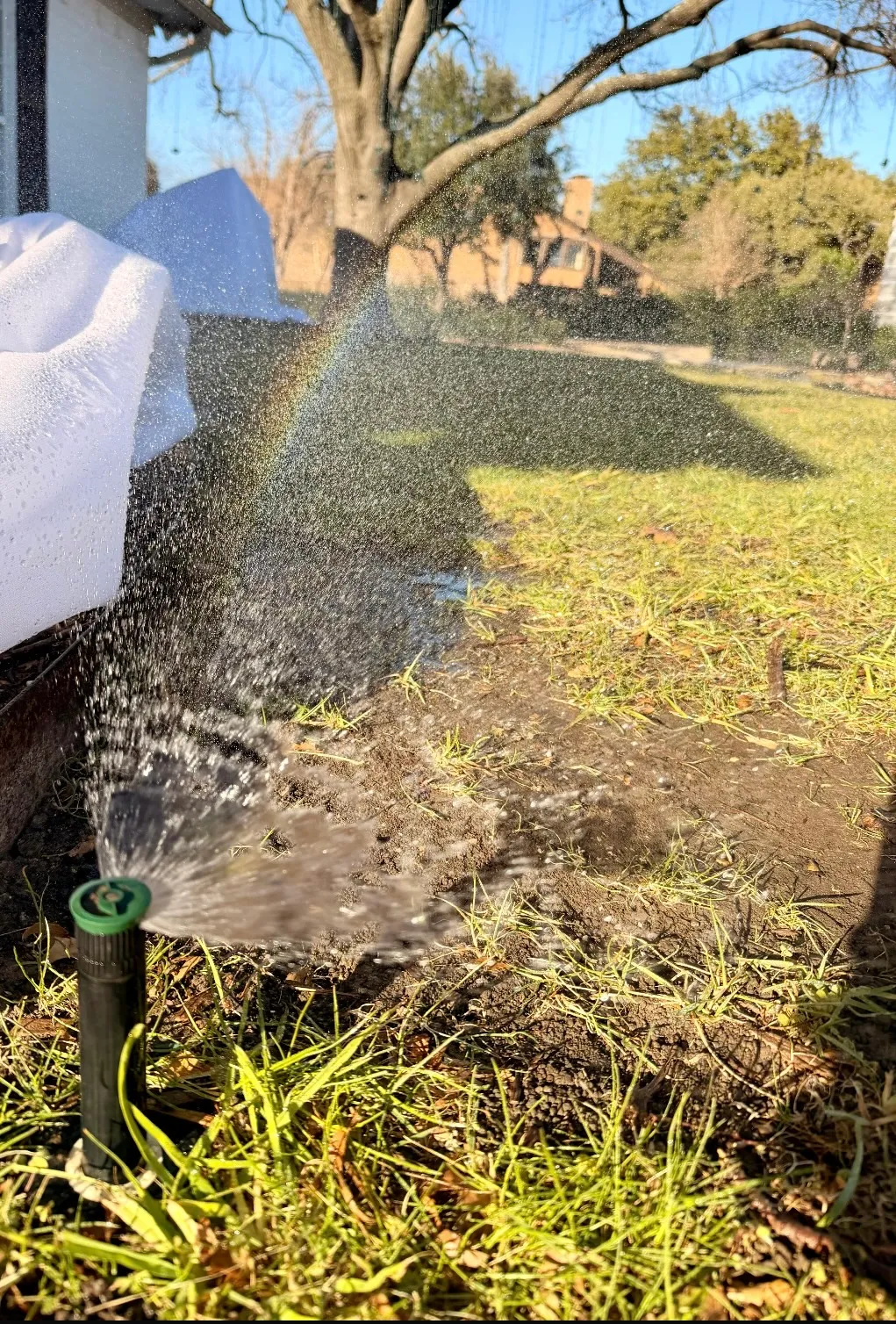 Sprinkler system working after repair by JC Apex Home Services
